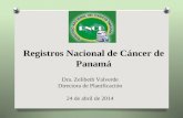 Registros Nacional de Cáncer de Panamá Dra. Zelibeth Valverde Directora de Planificación 24 de abril de 2014.