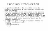 Función Producción La productividad es la relación entre la producción obtenida y los recursos utilizados para obtenerla. Esta definición puede aplicarse.