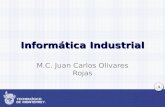 1 Informática Industrial M.C. Juan Carlos Olivares Rojas.