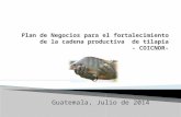 Guatemala, Julio de 2014. Visión Para el año 2018, ser la cooperativa líder a nivel nacional en producción y comercialización de productos de alta calidad.