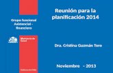 Grupo funcional Asistencial - financiero Noviembre - 2013 Reunión para la planificación 2014 Dra. Cristina Guzmán Toro.