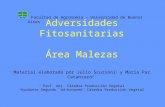 Adversidades Fitosanitarias Área Malezas Material elaborado por Julio Scursoni 1 y María Paz Catanzaro 2 1 Prof. Adj. Cátedra Producción Vegetal 2 Ayudante.