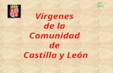 Vírgenes de la Comunidad de Castilla y León JCA - 2012.