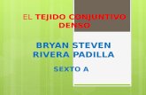 EL TEJIDO CONJUNTIVO DENSO BRYAN STEVEN RIVERA PADILLA SEXTO A.