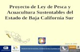 PROGRAMA RECTOR NACIONAL: INCIDENCIA EN BAJA CALIFORNIA SUR Proyecto de Ley de Pesca y Acuacultura Sustentables del Estado de Baja California Sur Enero.