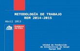 METODOLOGÍA DE TRABAJO REM 2014-2015 Unidad de Producción de Estadísticas de Salud Equipo REM Abril 2013.