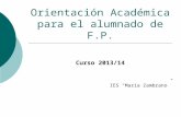 Orientación Académica para el alumnado de F.P. Curso 2013/14 IES “María Zambrano”