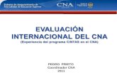 PEDRO PRIETO Coordinador CNA 2011. 2 3 Instituciones de Educación Superior en Colombia, según su carácter académico, 2010. Carácter AcadémicoPúblicaPrivadaTotal.