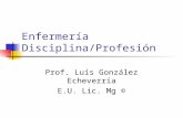 Enfermería Disciplina/Profesión Prof. Luís González Echeverría E.U. Lic. Mg ©
