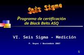 1 P rograma de certificación de Black Belts ASQ VI. Seis Sigma - Medición P. Reyes / Noviembre 2007.