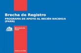 Brecha de Registro PROGRAMA DE APOYO AL RECIÉN NACIDO/A (PARN)