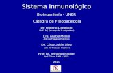 Sistema Inmunológico Bioingeniería - UNER Cátedra de Fisiopatología Dr. Roberto Lombardo Prof. Adj. (a cargo de la asignatura) Dra. Anabel Merlini Jefe.