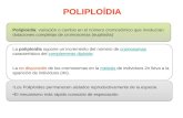 Poliploidía: variación o cambio en el número cromosómico que involucran dotaciones completas de cromosomas (euploidía) La poliploidía supone un incremento.