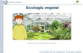 La biología de los vegetales: Ecología vegetal Ecología vegetal Imagen de invernadero de dominio público, autor: Mattes.invernadero.