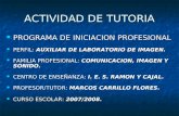 ACTIVIDAD DE TUTORIA PROGRAMA DE INICIACION PROFESIONAL PERFIL: AUXILIAR DE LABORATORIO DE IMAGEN. FAMILIA PROFESIONAL: COMUNICACION, IMAGEN Y SONIDO.