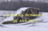 CALZADAS ROMANAS DE ASTURIAS Asturias sufrió un importante proceso romanizador, numerosos restos arqueológicos lo verifican, pero además sufrió una importante.