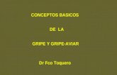 CONCEPTOS BASICOS DE LA GRIPE Y GRIPE-AVIAR Dr Fco Toquero.