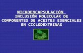 MICROENCAPSULACIÓN INCLUSIÓN MOLECULAR DE COMPONENTES DE ACEITES ESENCIALES EN CICLODEXTRINAS.