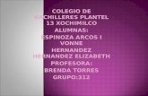 COLEGIO DE BACHILLERES PLANTEL 13 XOCHIMILCO ALUMNAS: ESPINOZA ARCOS I VONNE HERNANDEZ HERNANDEZ ELIZABETH PROFESORA: BRENDA TORRES GRUPO:312.