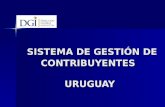 SISTEMA DE GESTIÓN DE CONTRIBUYENTES URUGUAY SISTEMA DE GESTIÓN DE CONTRIBUYENTES URUGUAY