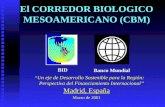 El CORREDOR BIOLOGICO MESOAMERICANO (CBM) Madrid, España Marzo de 2001 BID Banco Mundial “U n eje de Desarrollo Sostenible para la Región: Perspectiva.
