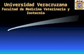 Universidad Veracruzana Facultad de Medicina Veterinaria y Zootecnia.
