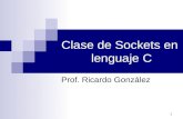 1 Clase de Sockets en lenguaje C Prof. Ricardo González.