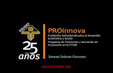 PROinnova Fundación Salvadoreña para el desarrollo Económico y Social Programa de Promoción y desarrollo de Innovación en la PYME Samuel Salazar-Genovez.