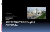 TRATAMIENTO DEL GAS NATURAL PRESENTADO POR: DIANA MARITZA RODRIGUEZ LEMUS LEIDY JOHANNA YUSUNGUAIRA SALUD OCUPACIONAL II SEMESTRE, GRUPO I NEIVA, 2010.