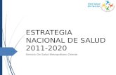 ESTRATEGIA NACIONAL DE SALUD 2011-2020 Servicio De Salud Metropolitano Oriente.