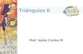 Prof. Isaías Correa M. Triángulos II. Aprendizajes esperados: Analizar en el triángulo rectángulo, los teoremas de Pitágoras y Euclides. Aplicar los diferentes.