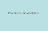 Proteínas- metabolismo. Papel de las proteínas en la nutrición Sirven para: 1. Síntesis de nuevas proteínas 2.Formación de compuestos no protéicos de.