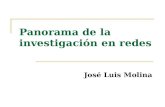 Panorama de la investigación en redes José Luis Molina.
