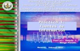 Práctica 1: Fuentes de Información Prof(a): Oneyda J. Mengo-Patiño. Universidad Central de Venezuela Facultad de Agronomía Instituto de Economía Agrícola.