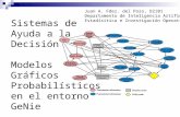 Sistemas de Ayuda a la Decisión Modelos Gráficos Probabilísticos en el entorno GeNie Juan A. Fdez. del Pozo, D2101 Departamento de Inteligencia Artificial.