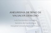 ANEURISMA DE SENO DE VALSALVA DERECHO Luis Fernández González Servicio de Cardiología Hospital Universitario de Cruces.
