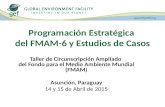 Programación Estratégica del FMAM-6 y Estudios de Casos Taller de Circunscripción Ampliado del Fondo para el Medio Ambiente Mundial (FMAM) Asunción, Paraguay.