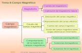06/05/2015 IPEP de Cádiz - Departamento de Física y Química 1 Descripción del campo magnético Tema 8:Campo Magnético.