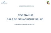 COE SALUD Actualizada: 22 de agosto del 2007, 10:00 hrs. MINISTERIO DE SALUD SALA DE SITUACION DE SALUD.