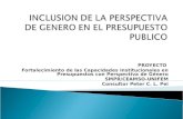 PROYECTO Fortalecimiento de las Capacidades Institucionales en Presupuestos con Perspectiva de Género SMPR/CEAMSO-UNIFEM Consultor Peter C. L. Pei.