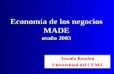 Economía de los negocios MADE otoño 2003 Amado Boudou Universidad del CEMA.