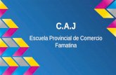 C.A.J Escuela Provincial de Comercio Famatina. Coordinadora: Prof. Mirtha G. Arias Talleristas Destinatario: Alumnos de Esc. Prov. de Comercio Famatina.