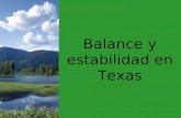 Balance y estabilidad en Texas. ¿Qué queremos decir con "balance y estabilidad"? ¿Hay balance y estabilidad en esta foto? ¿Cómo lo sabes?