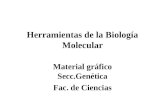 Herramientas de la Biología Molecular Material gráfico Secc.Genética Fac. de Ciencias.