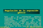 Bioquímica III Prof. Humberto González M. Regulación de la expresión génica Para que la información genética almacenada en el DNA sea utilizada por los.