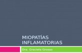 MIOPATÍAS INFLAMATORIAS Dra. Graciela Grosso.  son enfermedades inflamatorias del músculo estriado  poco frecuentes  de evolución crónica  que se.
