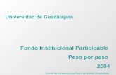 Comité de Infraestructura Física de la Red Universitaria Universidad de Guadalajara Fondo Institucional Participable Peso por peso 2004.