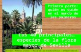 Las 40 principales… especies de la flora mayor de Sevilla Primera parte: quién es quién en el mundo de las palmeras Carlos Romero Zarco – Aula de la Experiencia.