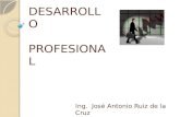DESARROLLO PROFESIONAL Ing. José Antonio Ruiz de la Cruz.