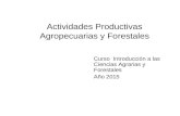 Actividades Productivas Agropecuarias y Forestales Curso Introducción a las Ciencias Agrarias y Forestales Año 2015.